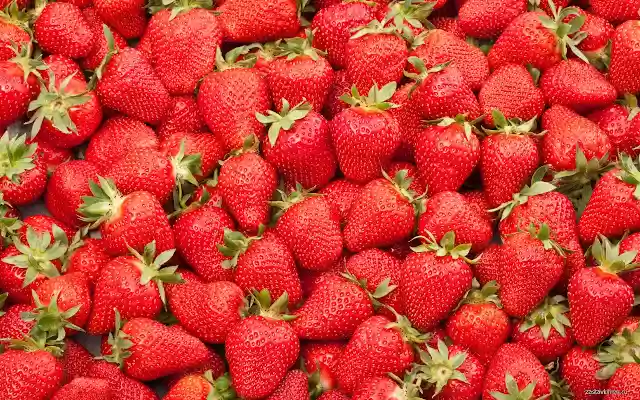 Sea Strawberries from Chrome web store to be run with OffiDocs Chromium online Sea Strawberries from Chrome web store to be run with OffiDocs Chromium online