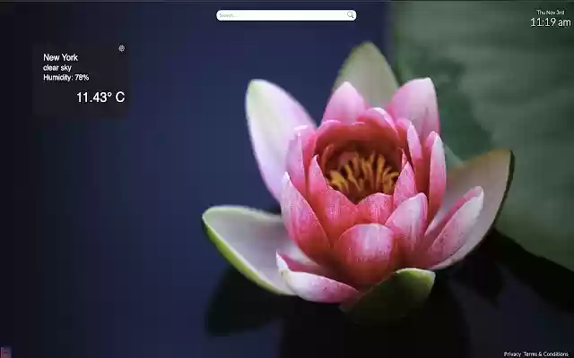 Sunny Days from Chrome web store to be run with OffiDocs Chromium online Sunny Days from Chrome web store to be run with OffiDocs Chromium online