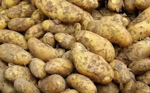 The potato crop was a success from Chrome web store to be run with OffiDocs Chromium online The potato crop was a success from Chrome web store to be run with OffiDocs Chromium online