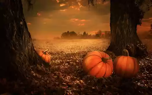 Three giant round pumpkins from Chrome web store to be run with OffiDocs Chromium online Three giant round pumpkins from Chrome web store to be run with OffiDocs Chromium online