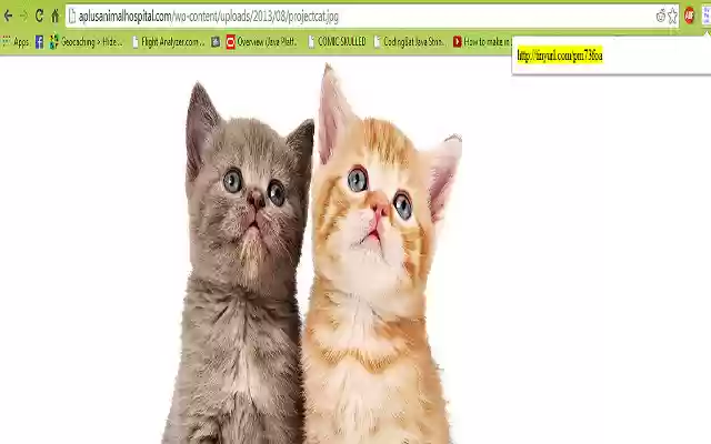 TinyURL Converter from Chrome web store to be run with OffiDocs Chromium online TinyURL Converter from Chrome web store to be run with OffiDocs Chromium online