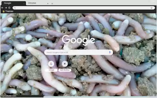 Trung bien from Chrome web store to be run with OffiDocs Chromium online Trung bien from Chrome web store to be run with OffiDocs Chromium online