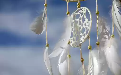 White feathers from Chrome web store to be run with OffiDocs Chromium online White feathers from Chrome web store to be run with OffiDocs Chromium online