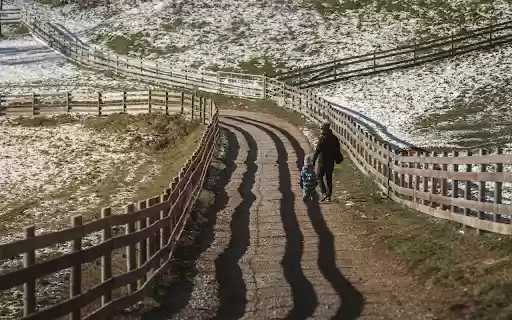 Winter Stroll on a Snowy Rural Path in Austria from Chrome web store to be run with OffiDocs Chromium online Winter Stroll on a Snowy Rural Path in Austria from Chrome web store to be run with OffiDocs Chromium online