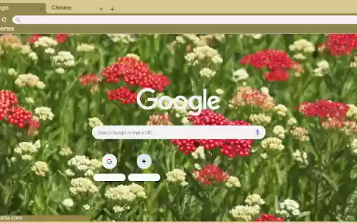 Yarrow Red from Chrome web store to be run with OffiDocs Chromium online Yarrow Red from Chrome web store to be run with OffiDocs Chromium online